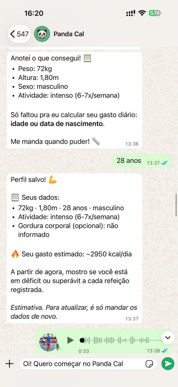 Panda Cal confirmando perfil salvo a partir de um áudio